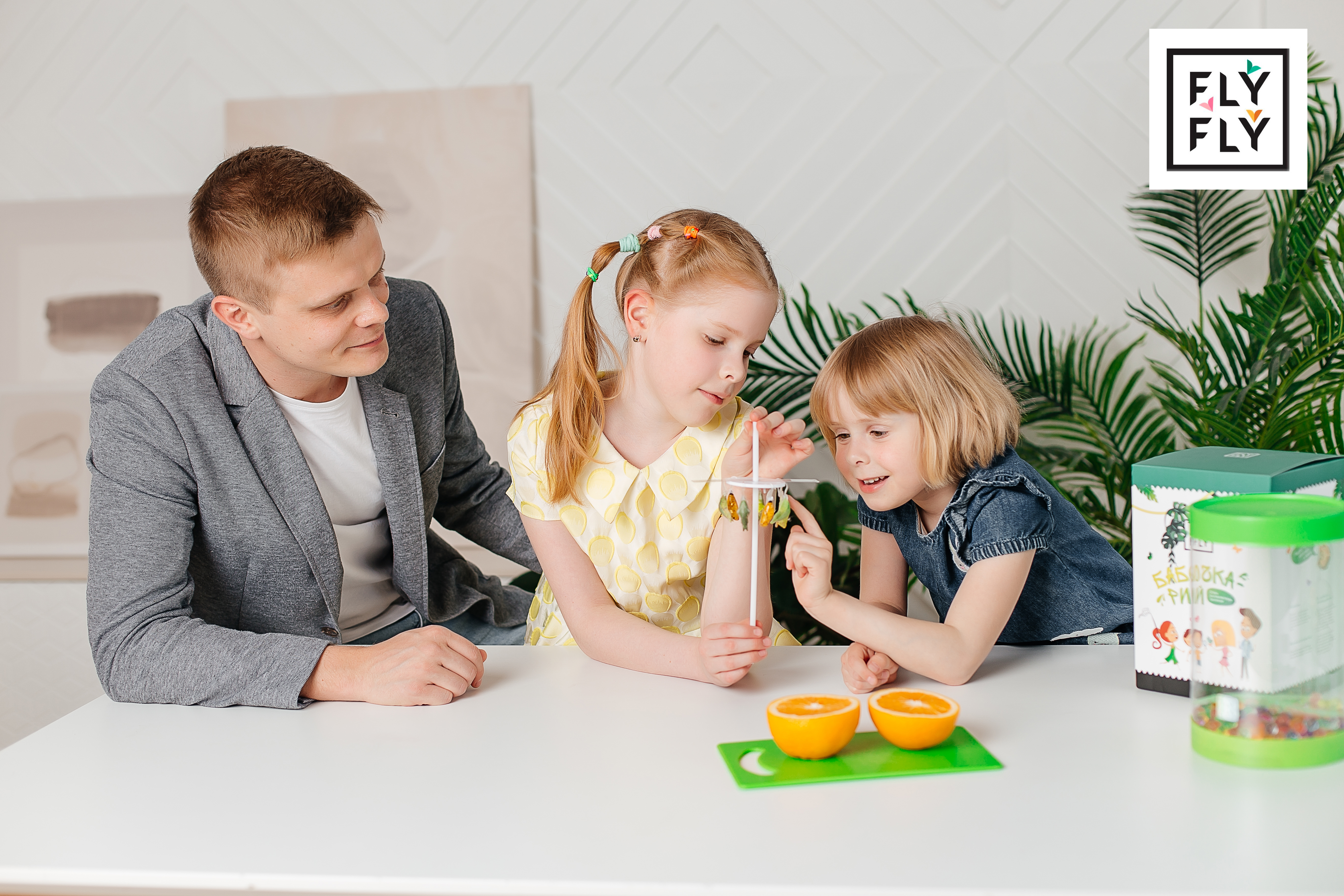 Полный набор фермы Бабочкарий с куколками тропических живых бабочек